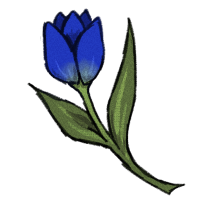 Blue Tulip