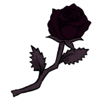 Black Rose