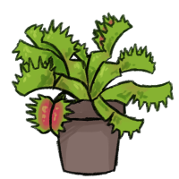 Potted Flytrap