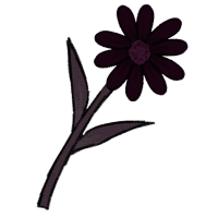 Black Daisy