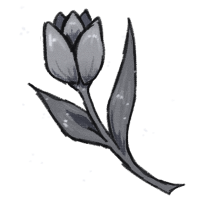 Silver Tulip