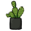 Potted Cactus