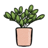 Potted Plant