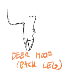 Deer Hoof (Quigar)