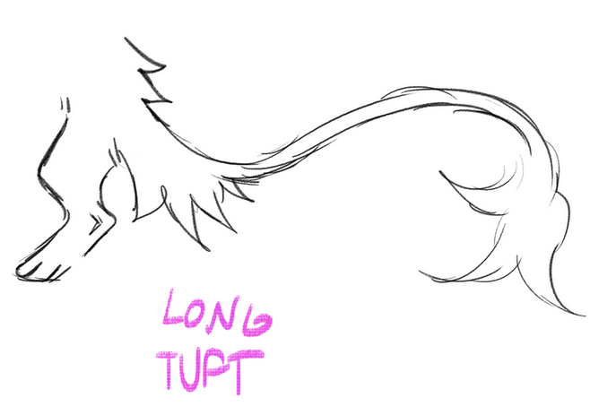 Long Tuft Tail (Quigar)